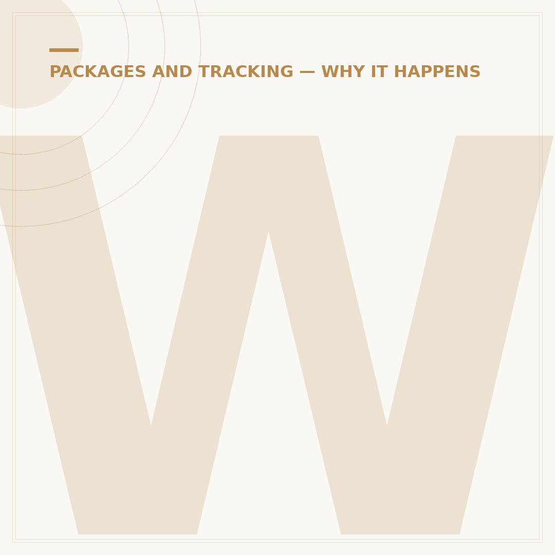 Why Is My Amazon Package Delayed at Customs?
