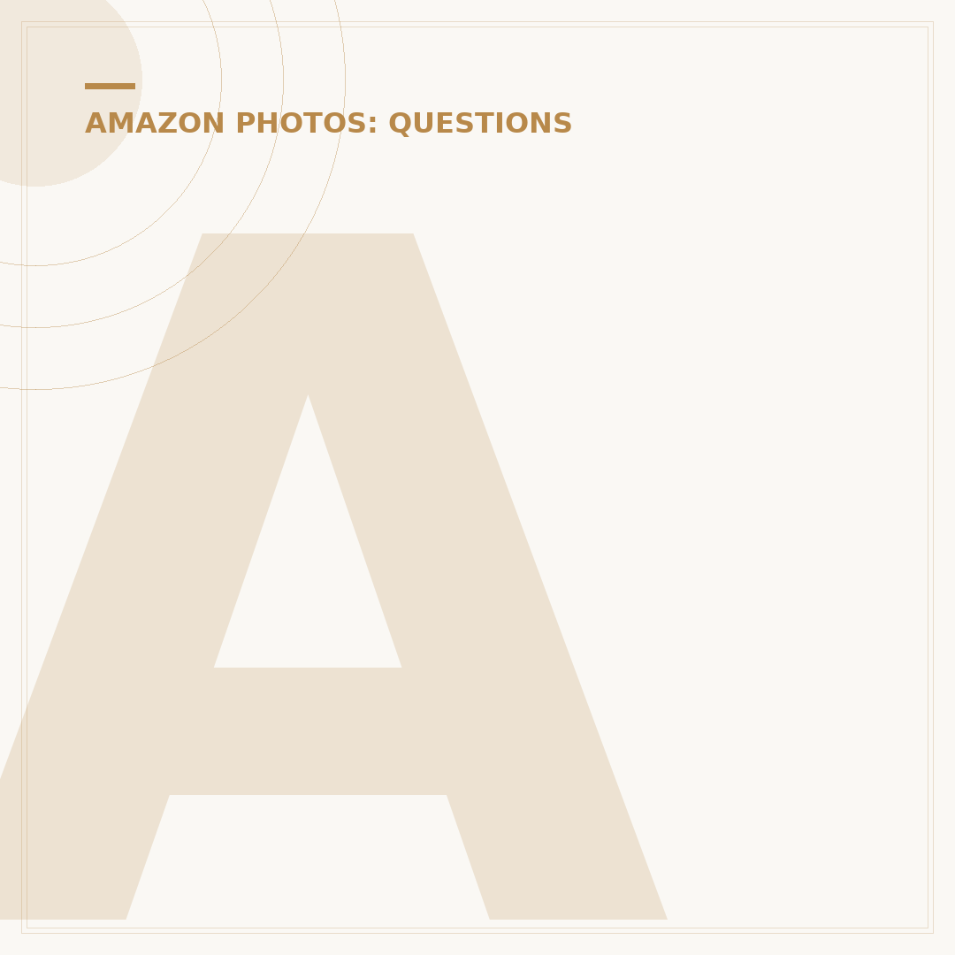 Amazon Photos vs Google Photos: Which is Better?