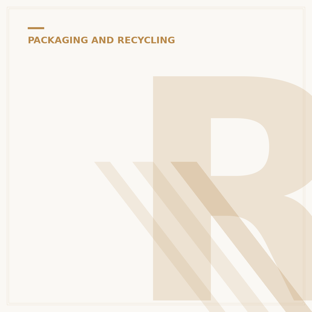 Recycle Amazon Envelopes: What You Need to Know