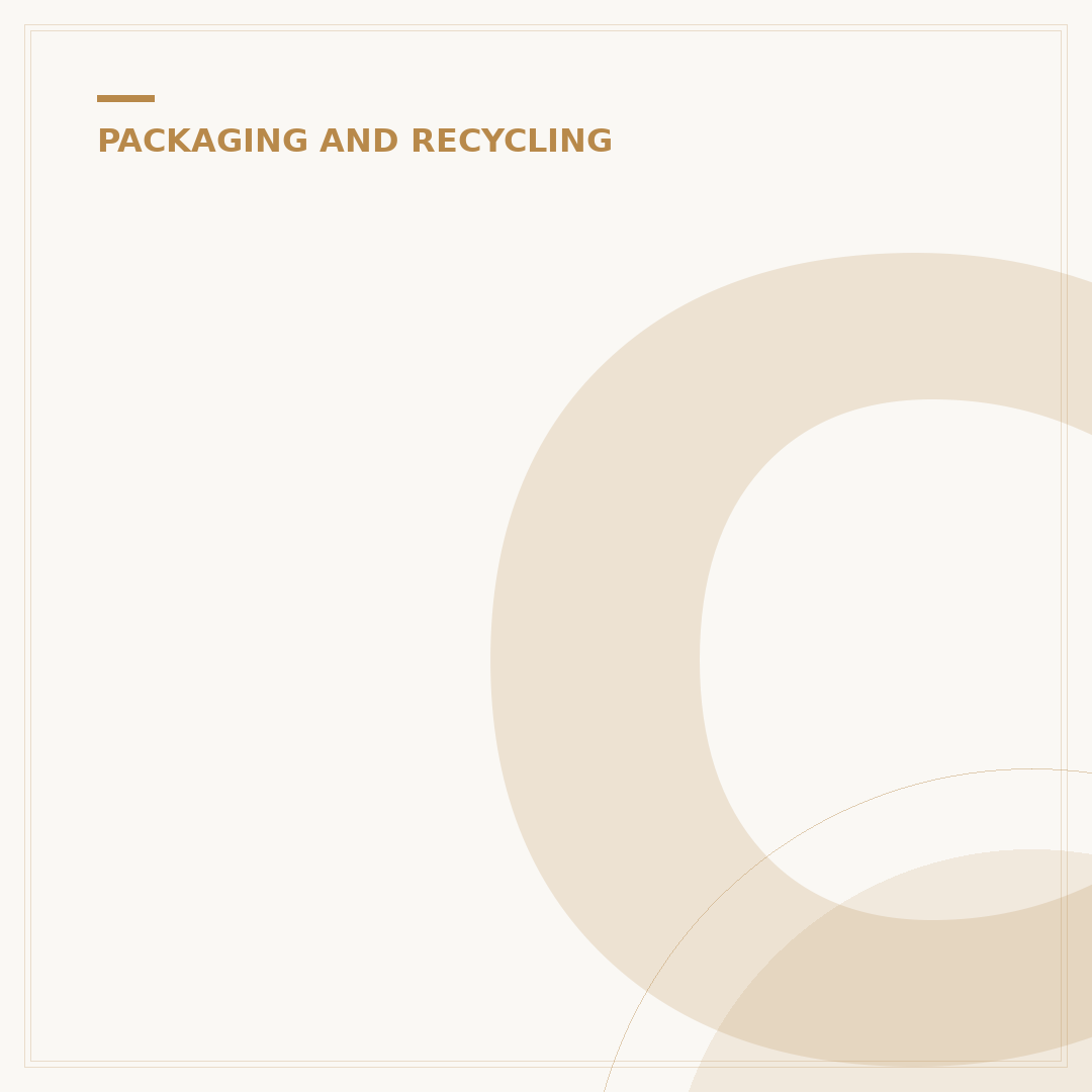 Can You Reuse Amazon Envelopes?