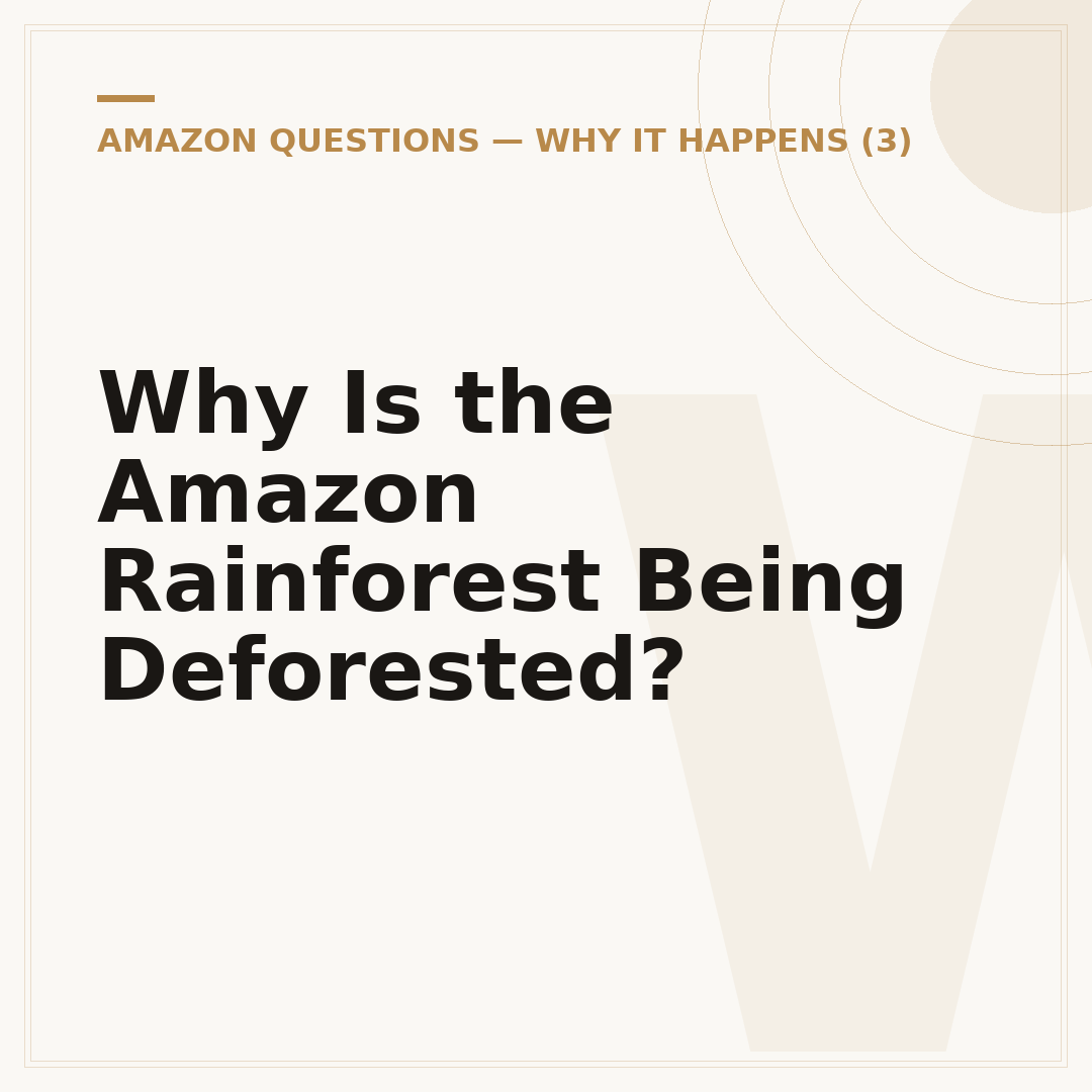 Why Is the Amazon Rainforest Being Deforested?