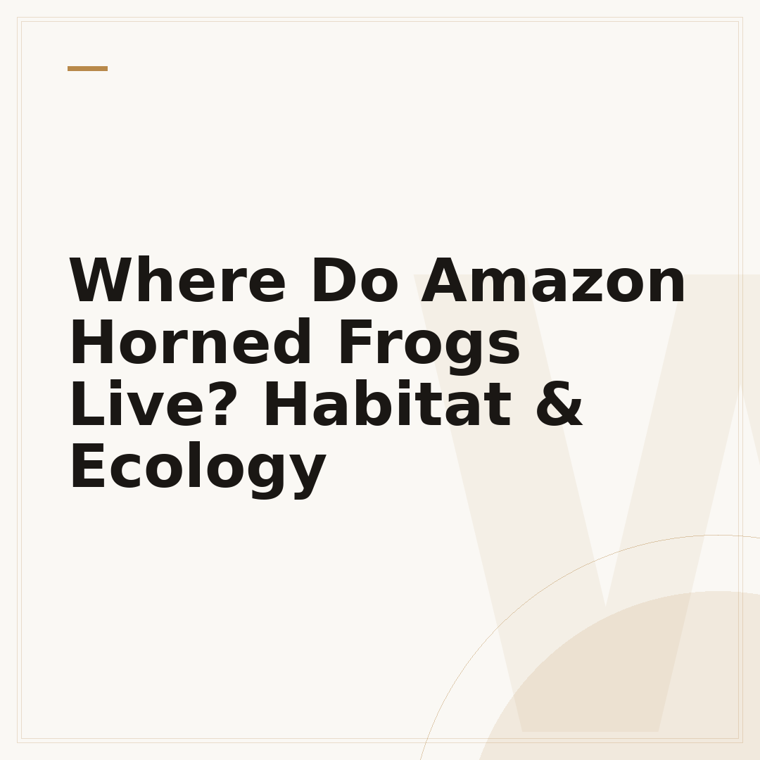 Where Do Amazon Horned Frogs Live? Habitat & Ecology