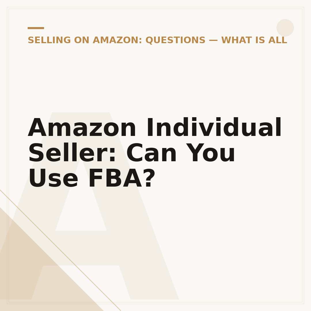Amazon Individual Seller: Can You Use FBA?
