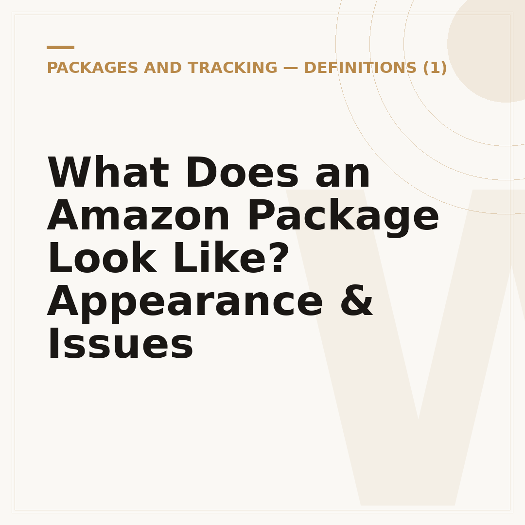 What Does an Amazon Package Look Like? Appearance & Issues