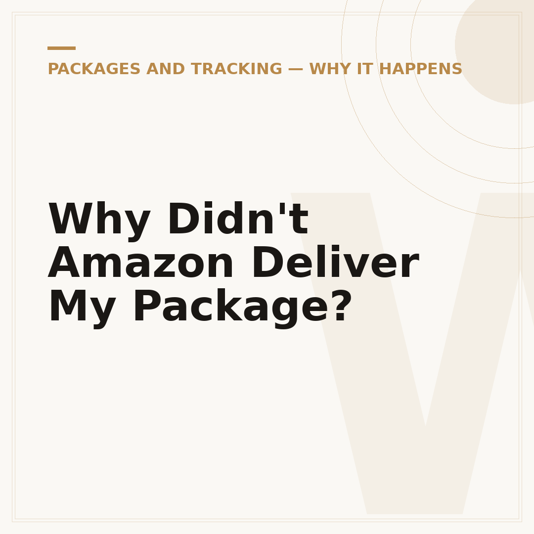 Why Didn't Amazon Deliver My Package?