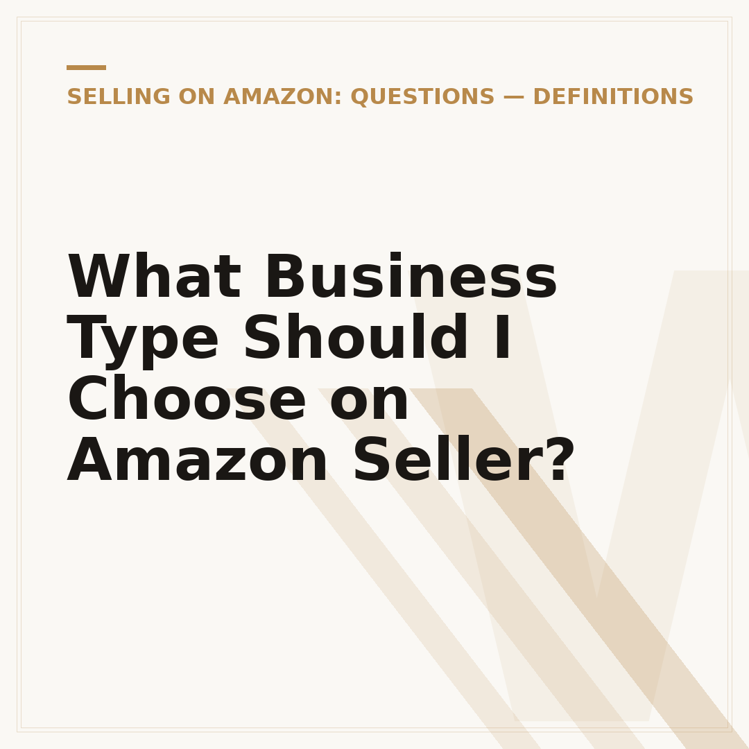 What Business Type Should I Choose on Amazon Seller?