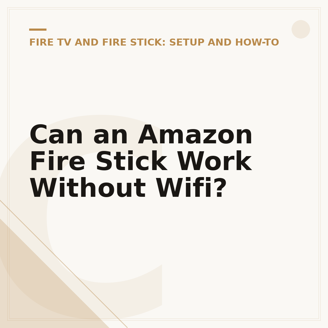 Can an Amazon Fire Stick Work Without Wifi?