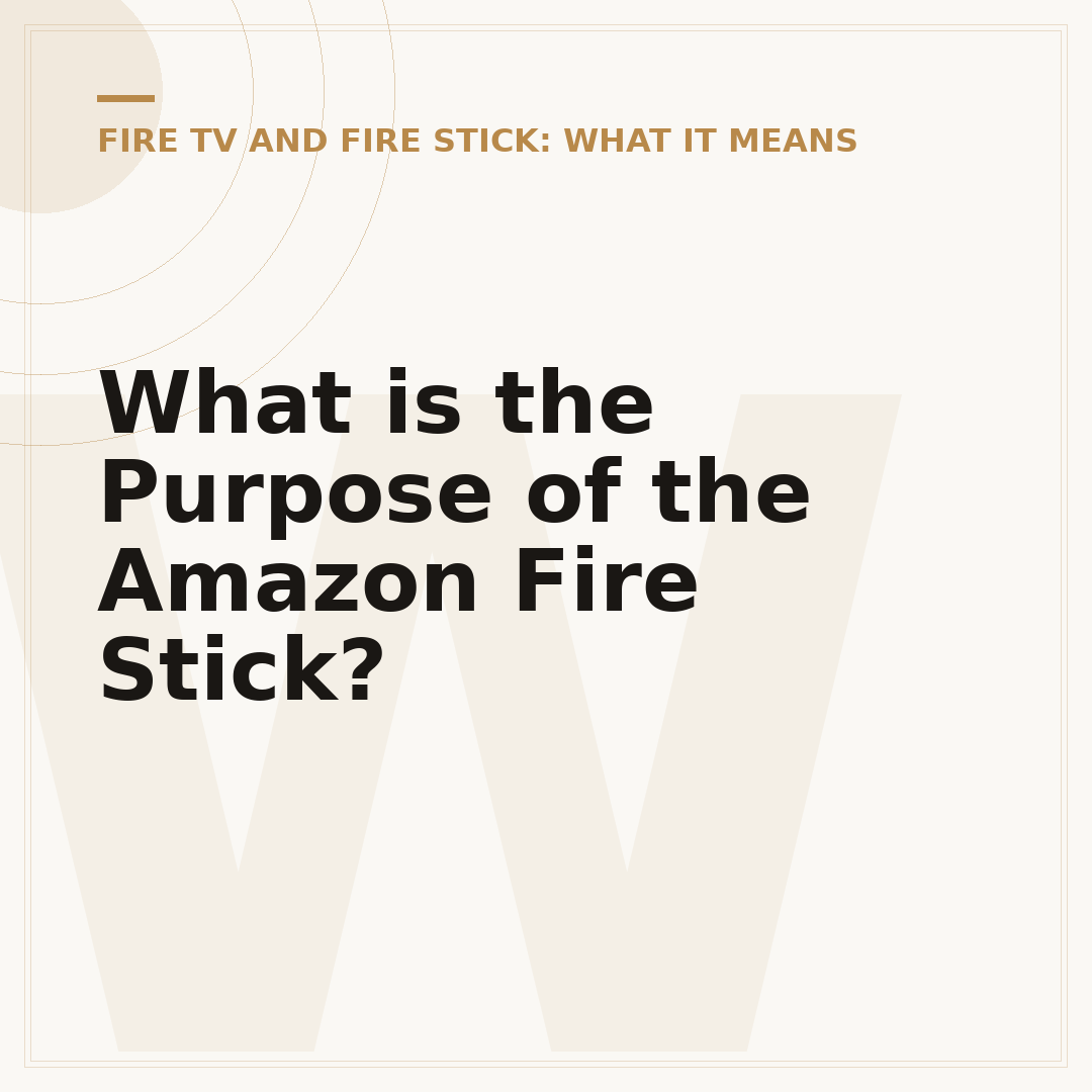 What is the Purpose of the Amazon Fire Stick?