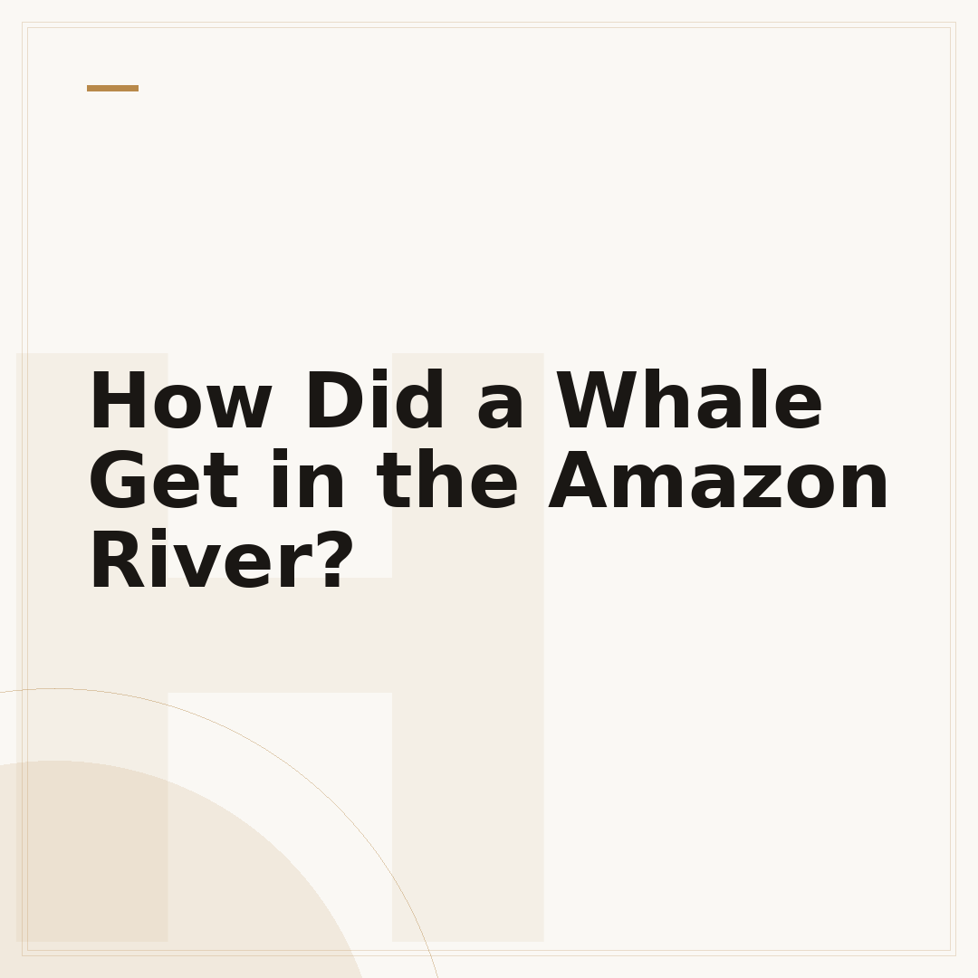 How Did a Whale Get in the Amazon River?