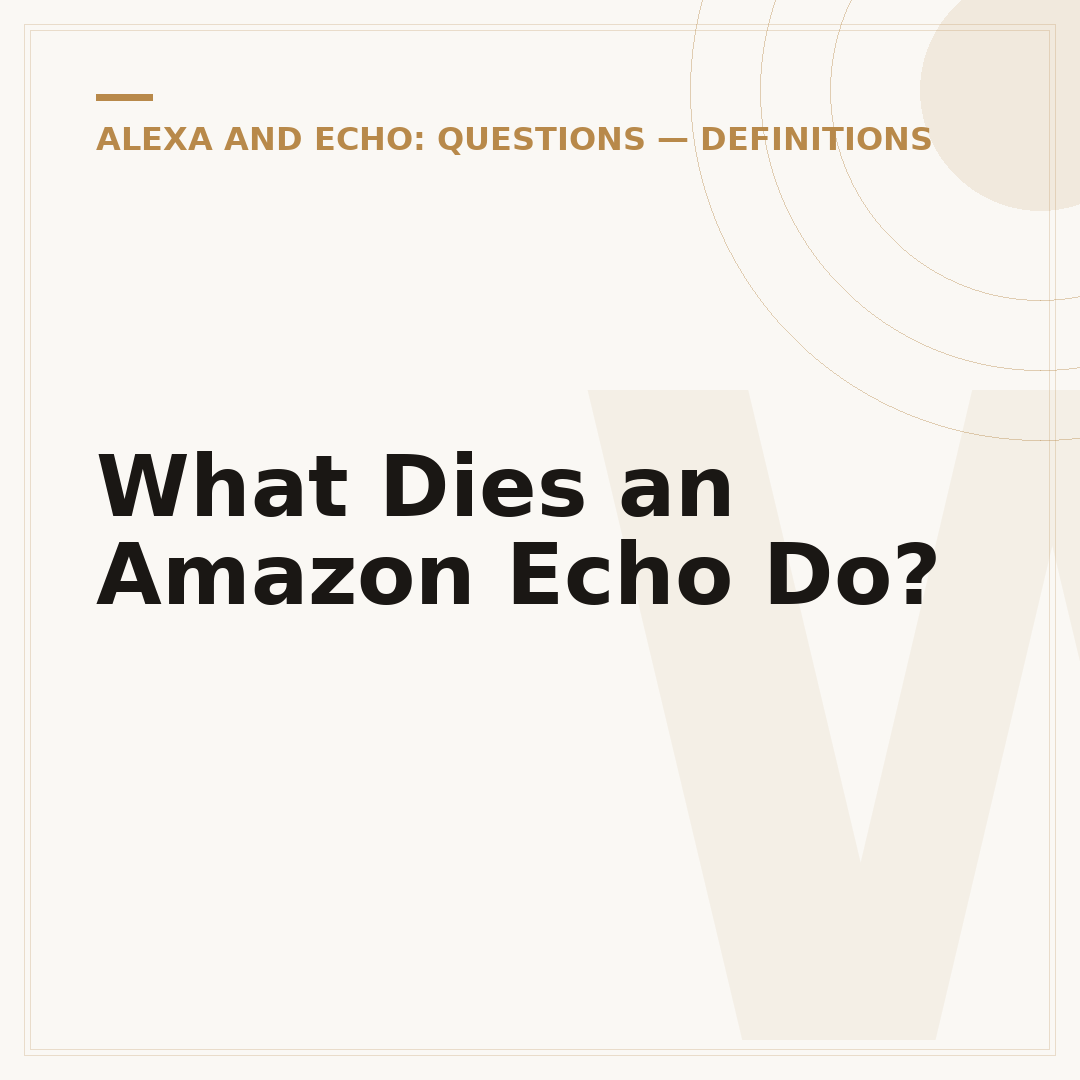 What Dies an Amazon Echo Do?