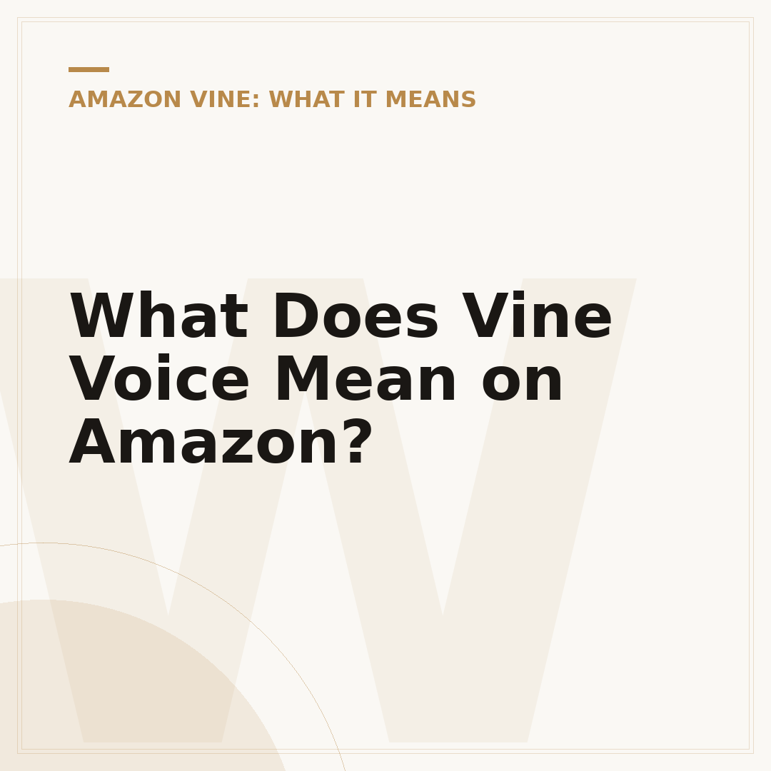 What Does Vine Voice Mean on Amazon?