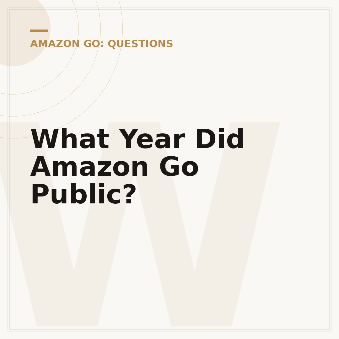 What Year Did Amazon Go Public?
