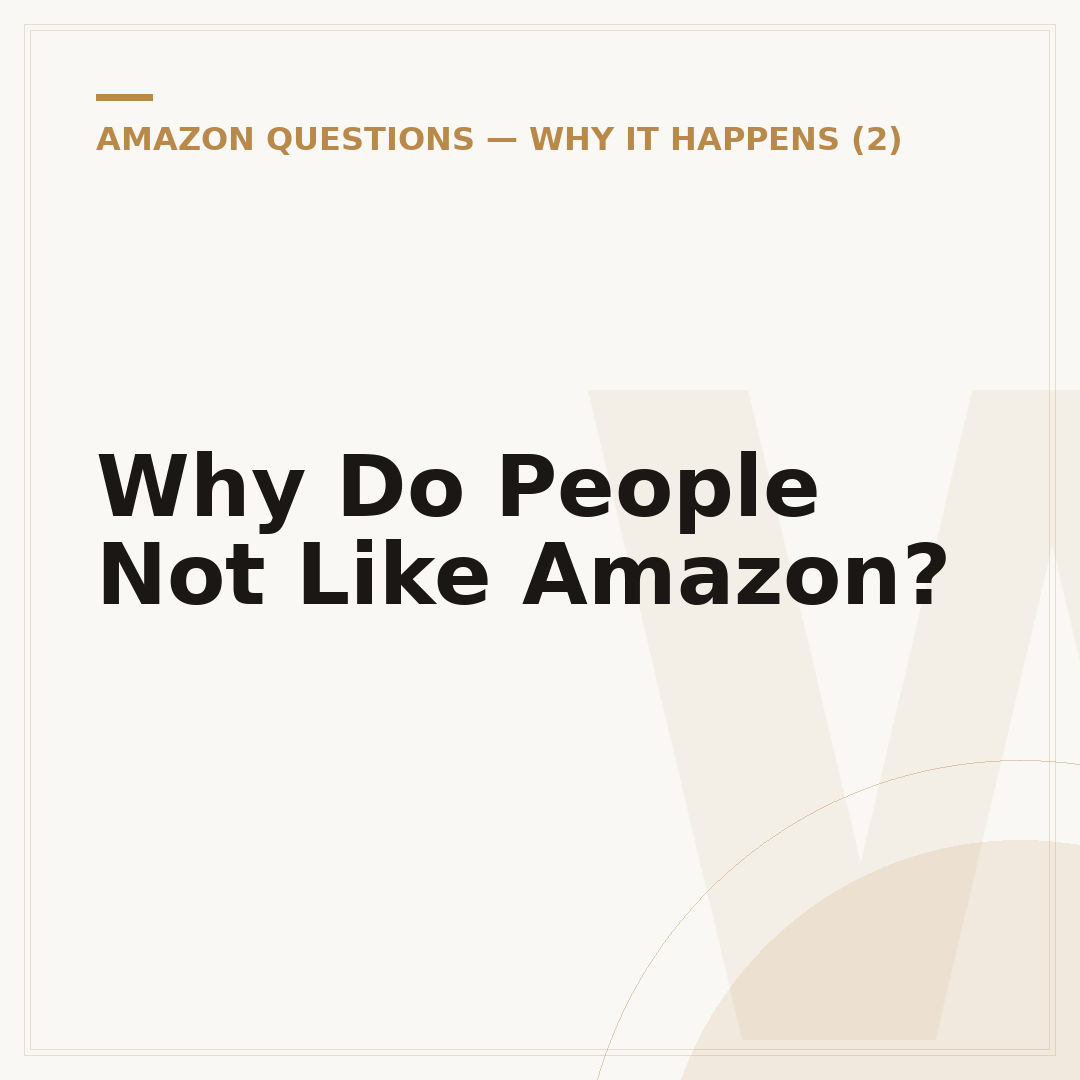 Why Do People Not Like Amazon?